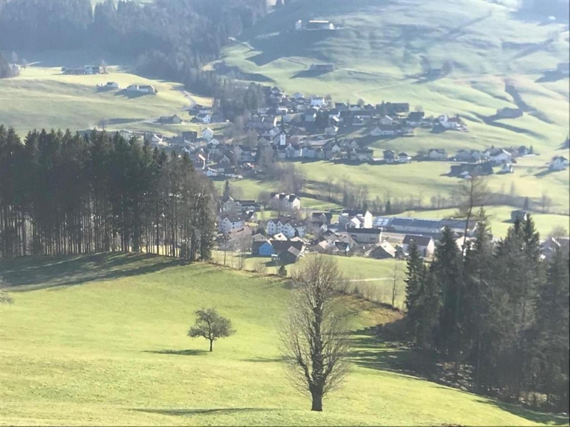 Nirkwerk - Die Wohnung - Wohnen Und Werken Schönengrund Exterior foto