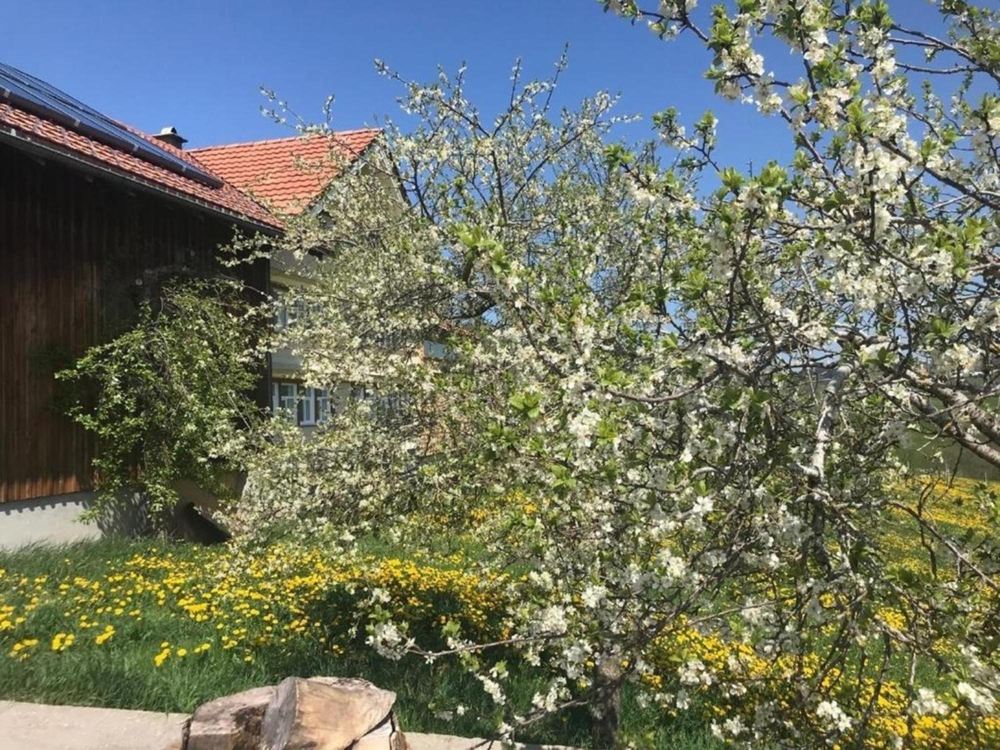 Nirkwerk - Die Wohnung - Wohnen Und Werken Schönengrund Exterior foto